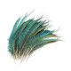 Natural Peacock Feathers - 10pcs